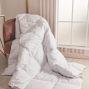 ������ Afrodita