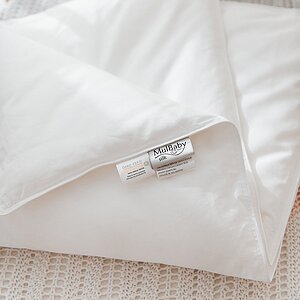 ������� �������� ������ Mulbaby ����������� � ����������� ���� � �����������