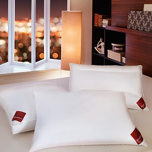 ������� ������� Brinkhaus Sapphir, ���. 28241