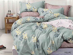   Cleo 192-PC