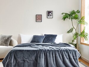 ������ ��������� Sofi De Marko �������, ����-�������