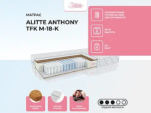 ������ ������ Alitte Anthony TFK M-18-K 65�200