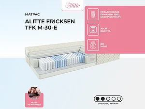 ������ ������ Alitte Ericksen TFK M-30-E 65�200