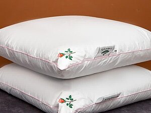 ������� Natures ������� 50, �������