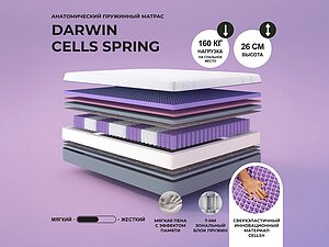 Darwin Cells Spring