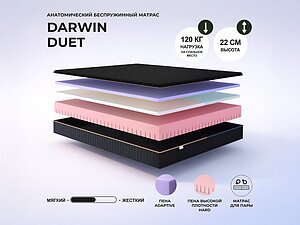 ������ ������ darwin Duet