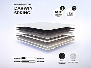 ������ ������ darwin Spring