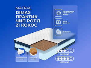 Dimax    21  160210