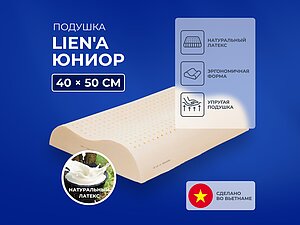 ������ ������� Lien'a �����
