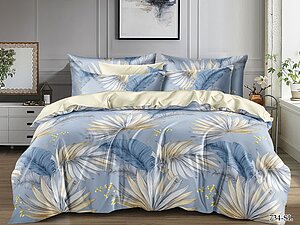 ���������� ����� Cleo 734-SL