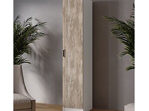 ������ ���� ���� ������ 40 ��, �����/��� ����