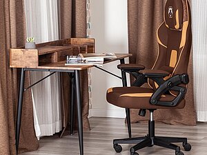 ������ ������ Tetchair iBear