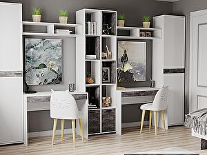   Case Scandi  2