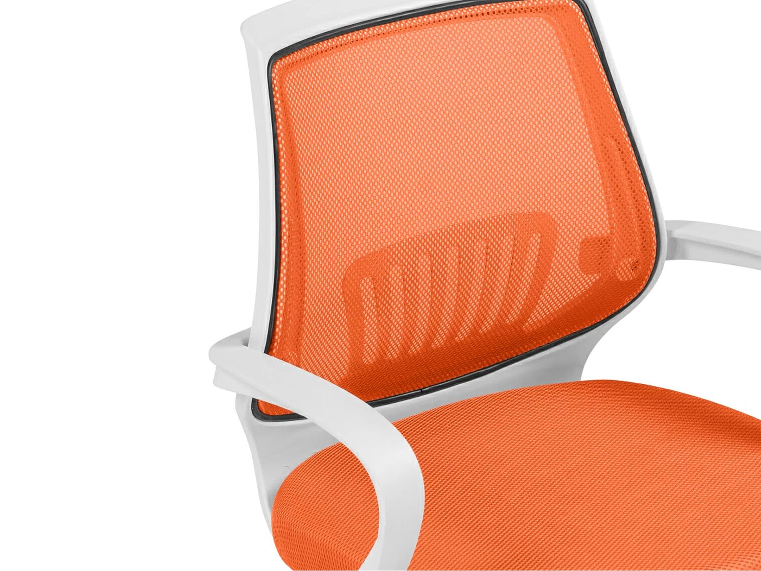   Ergoplus orange  / white