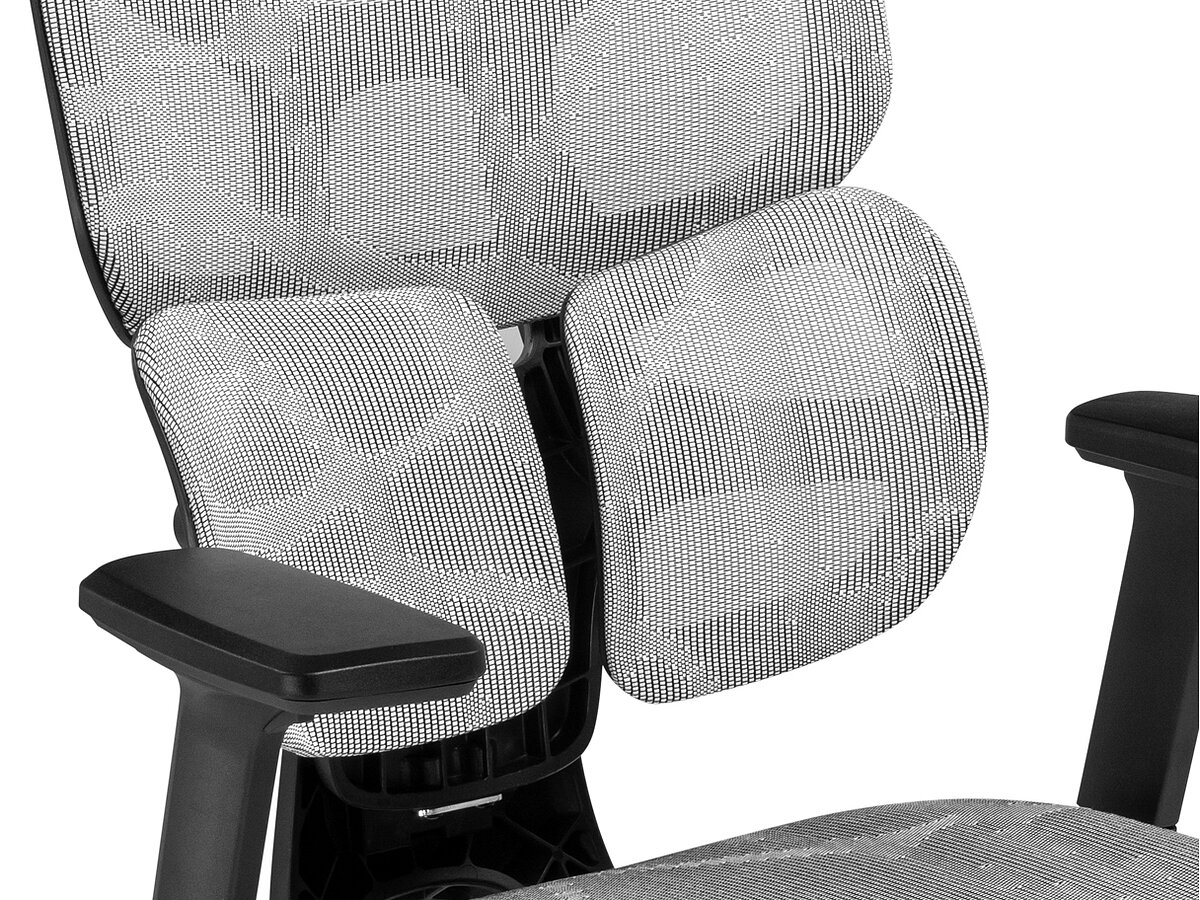   Samur white / black