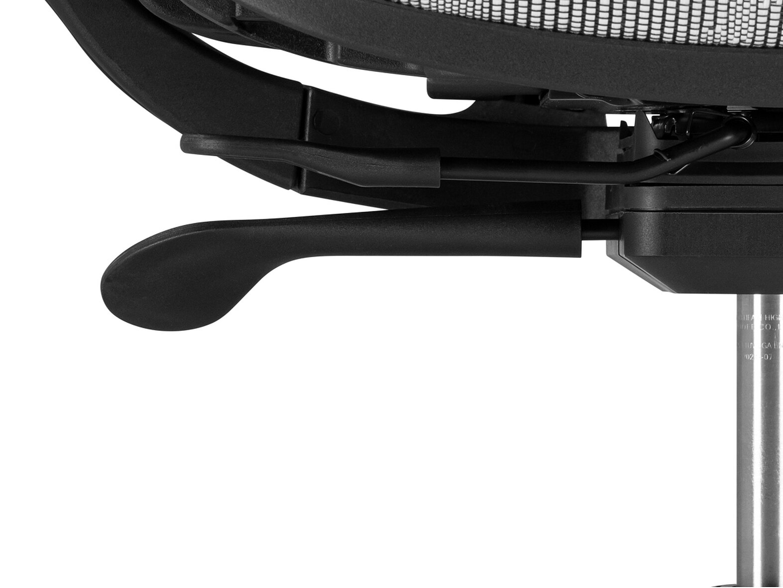  Samur white / black