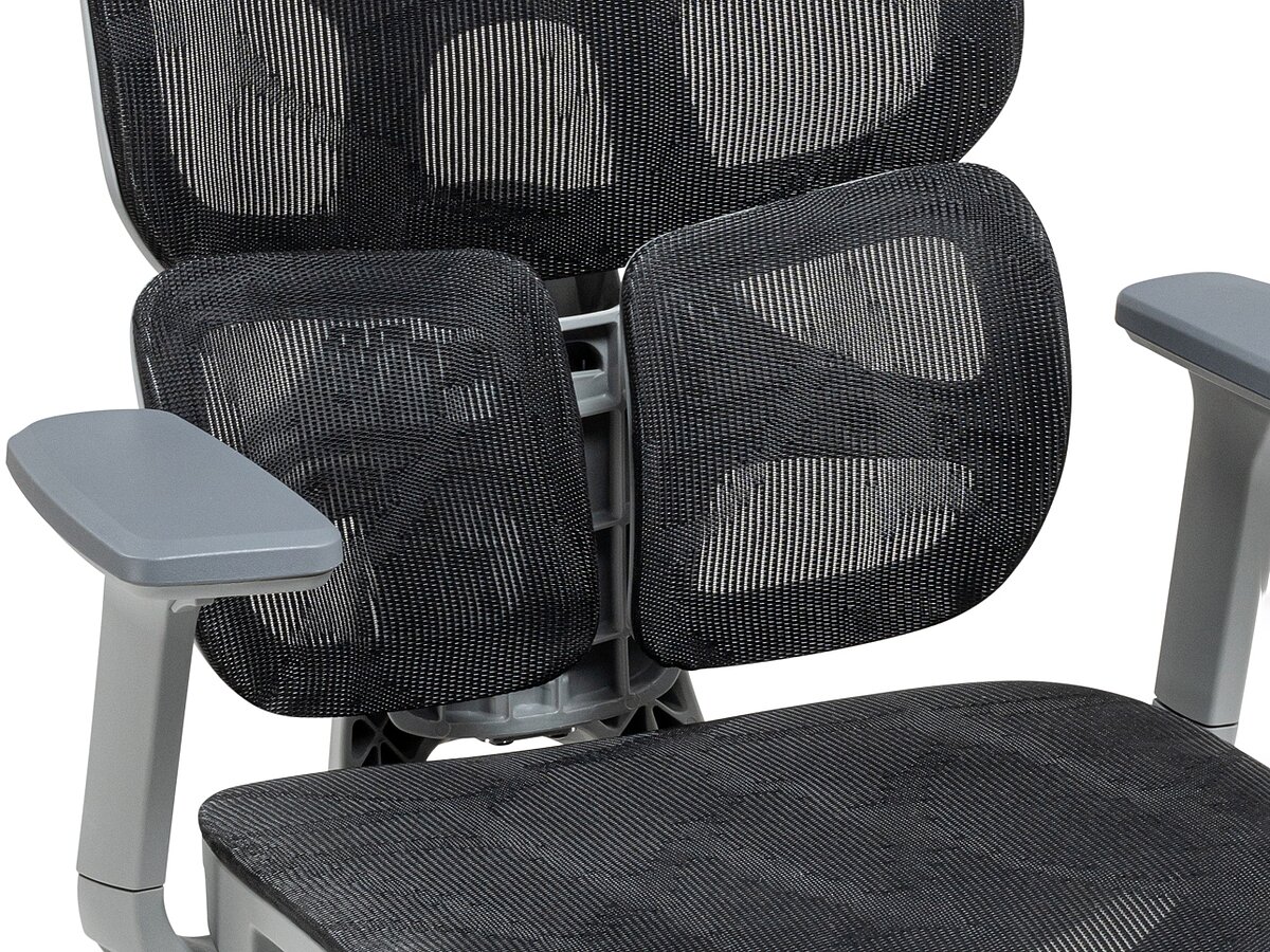   Samur black / gray