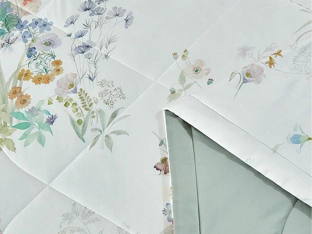 ������ Asabella 2267 � ��������� � �����������