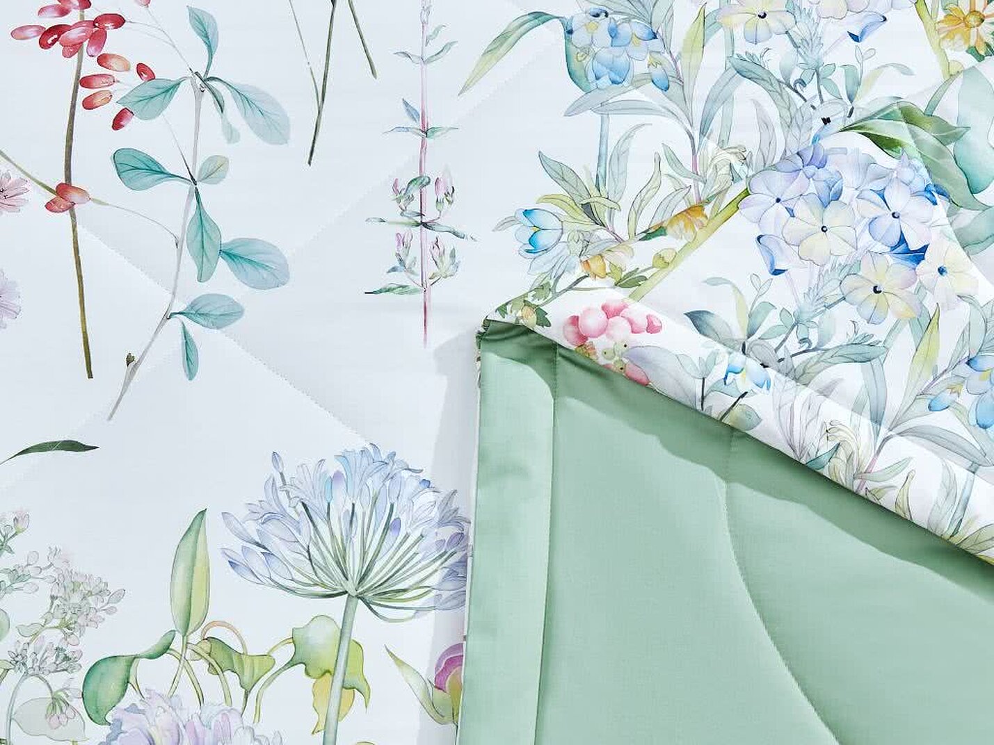 ������ Asabella 1380 � ��������� � �����������