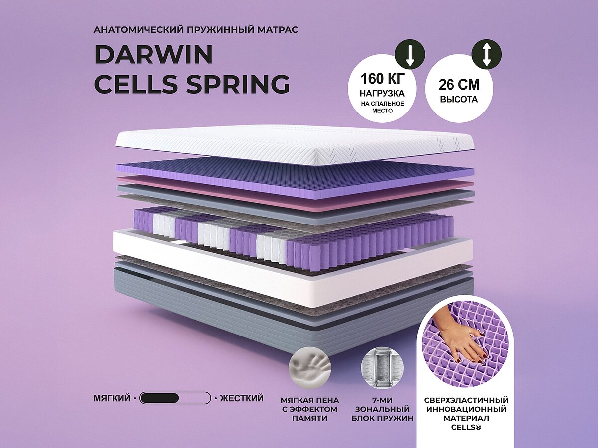 Darwin Cells Spring