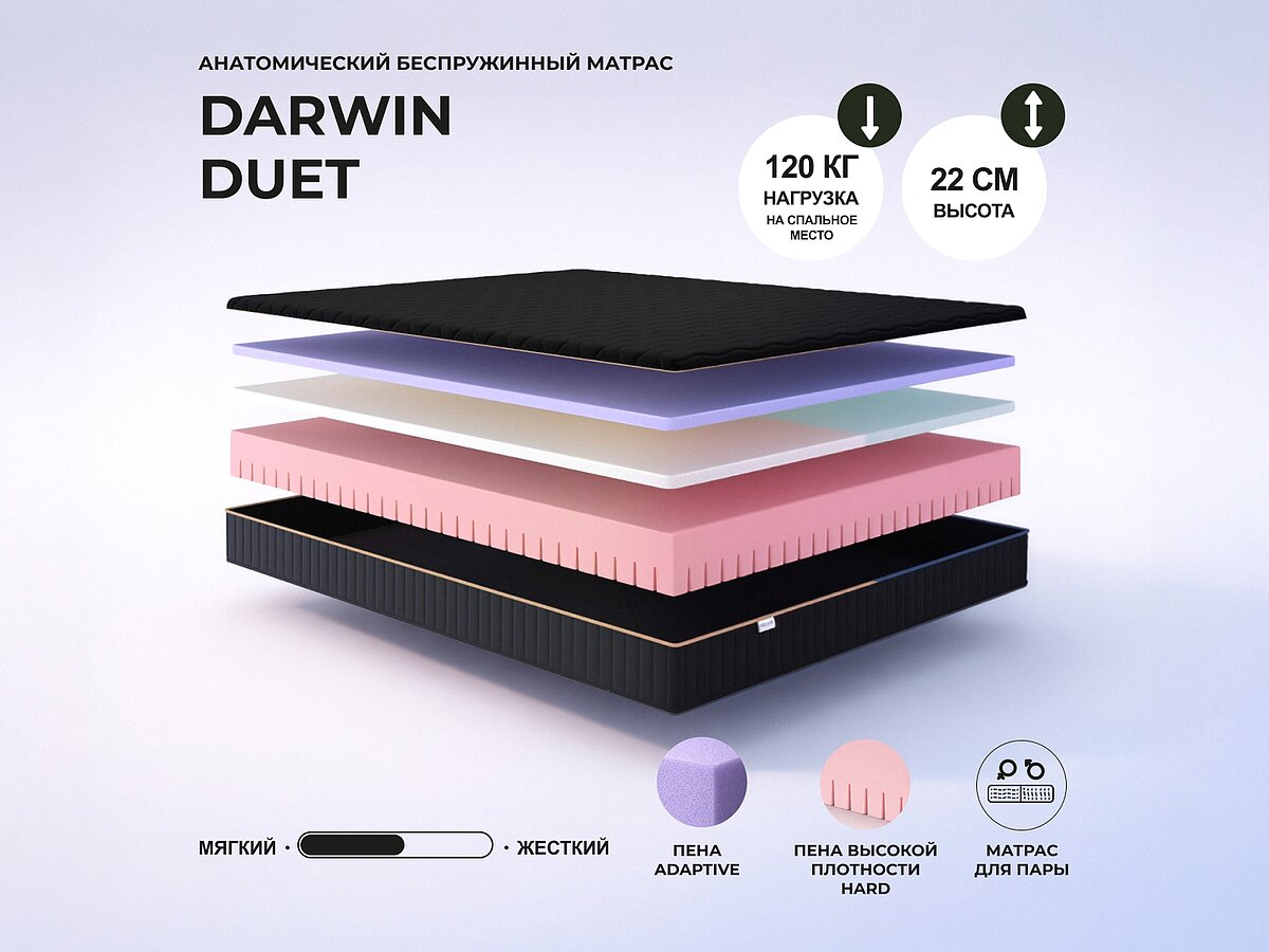 Darwin Duet