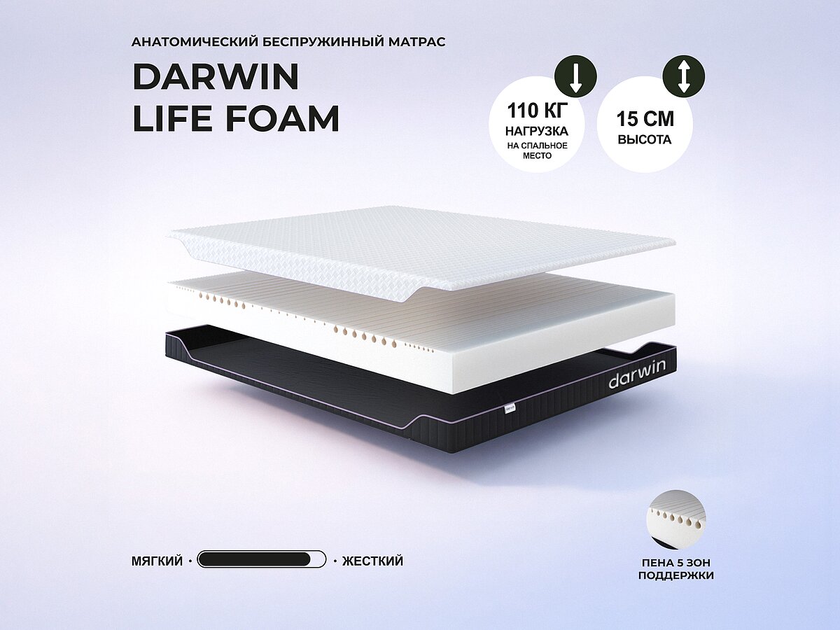 Darwin Life Foam