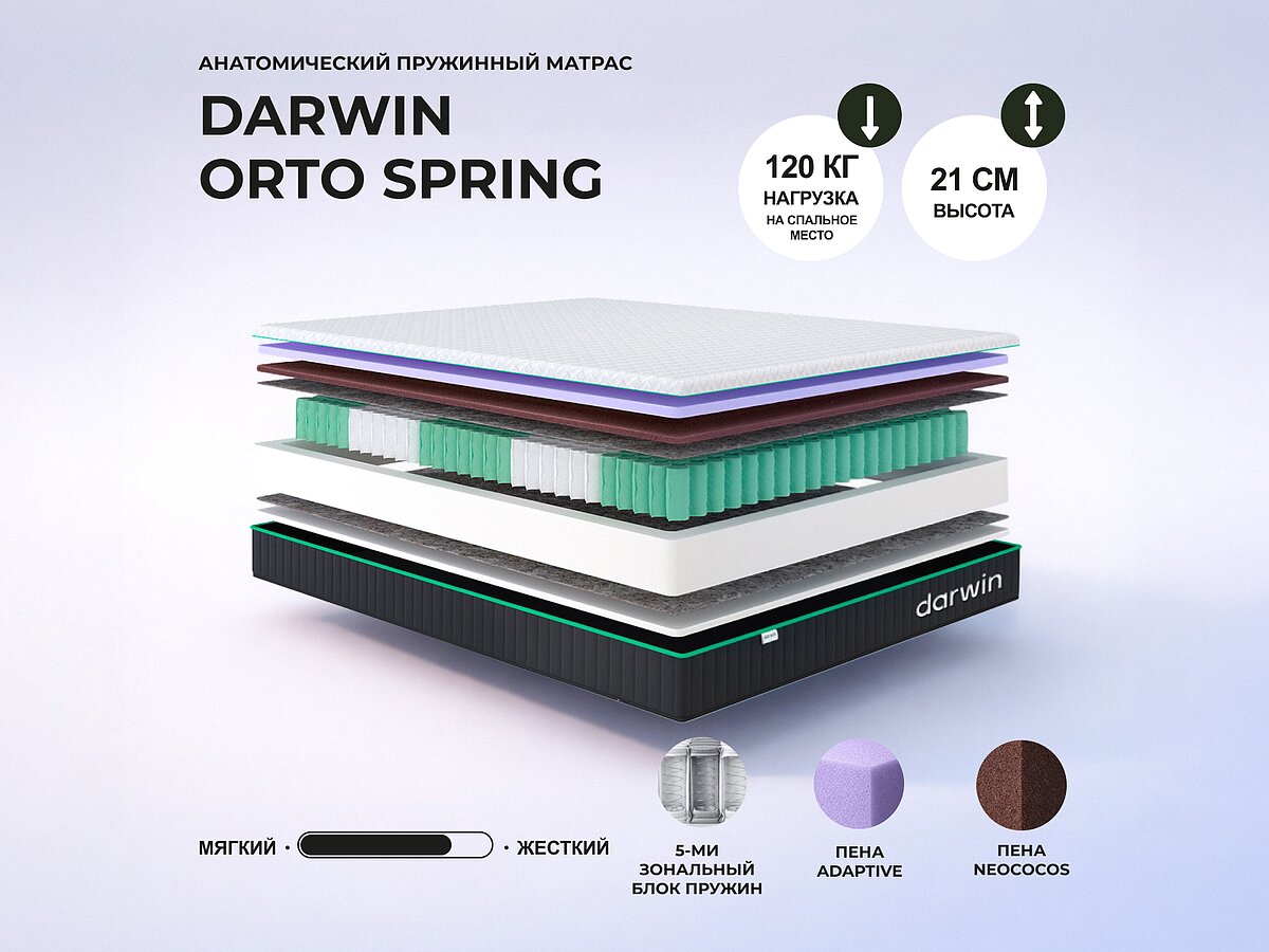 Darwin Orto Spring