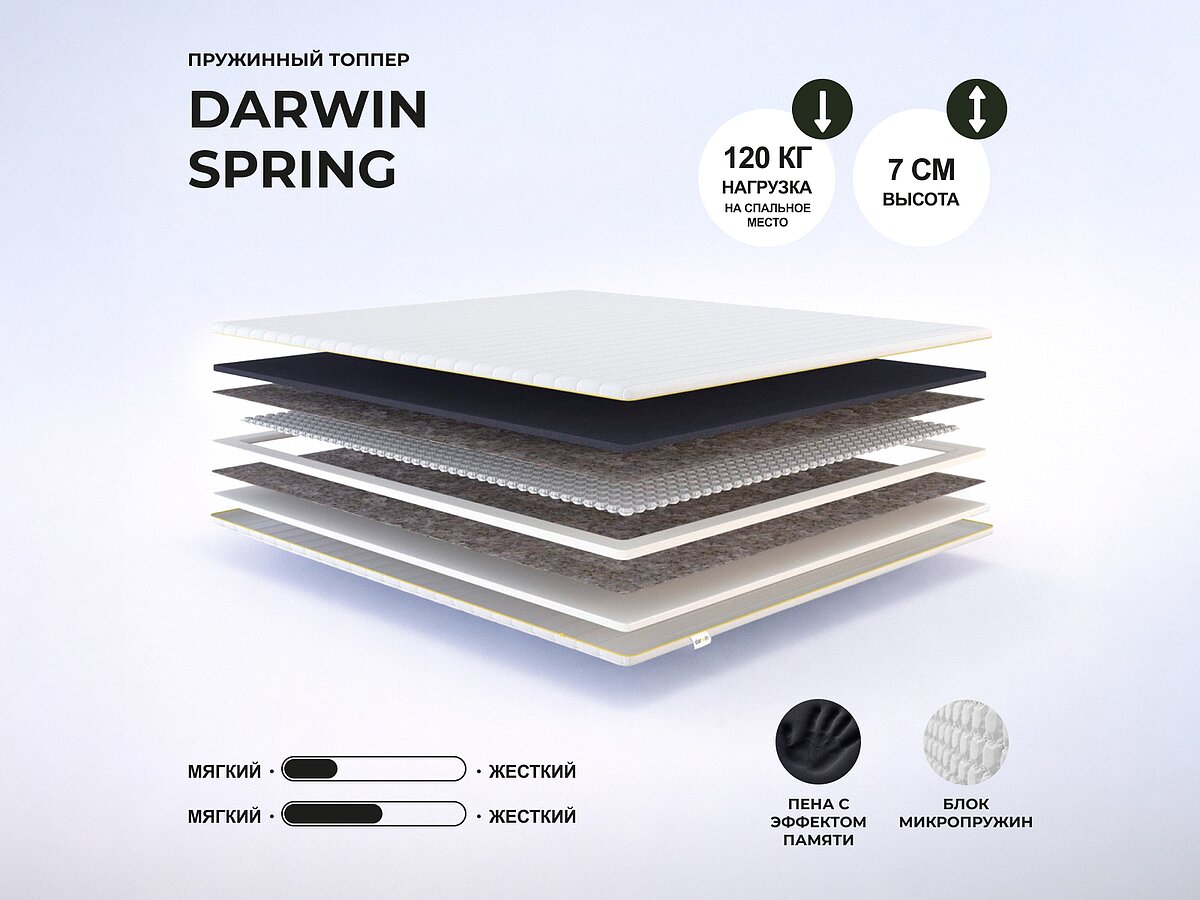 ������ darwin Spring