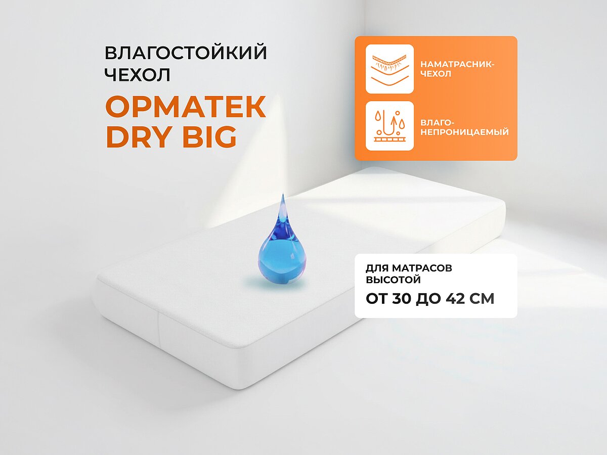 ������������ ����� ������� Dry Big