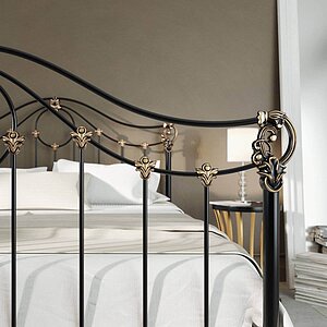 ������� Dream Master Sylva (2 ������) � ������� ��������� � 41 ������