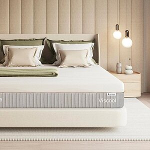 ������ Kamasana Viscool � ���� 566000 �. � �������� 2 ����