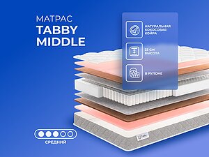 Tabby Middle 65�200