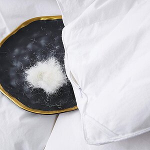 ������ ���� �� ����� Grand