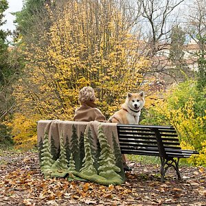 ����� ���� Frati Home Bosco Verde