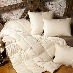 ������� ������ Lucky Dreams Sandman, ������ � ��������� � 41 ������