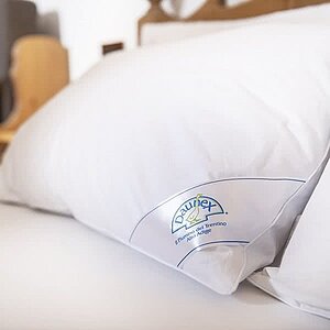 ������� ������� Daunex Aria 50, ������ � ��� � ���