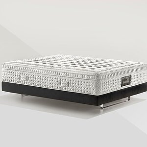 ������ Magniflex Maestro Dual 14 � ������� ����� � ����/����