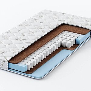 ������ ������� ����� � ����������� ��������� ����, 256 ������/�&sup2; � �������� 1,5 ����