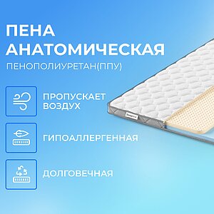 ������ Sleepline SleepTop ErgoLatex � 1 �����