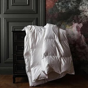 ������ ����� ���� �����