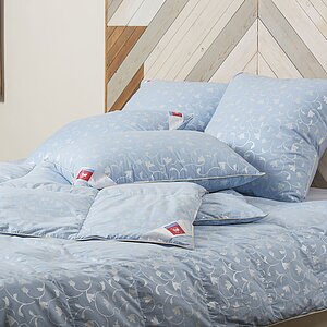 ������ ������ ������� ������ ��� �������, ������ ��������