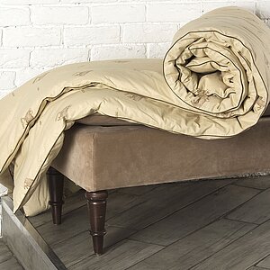 ������ Polly