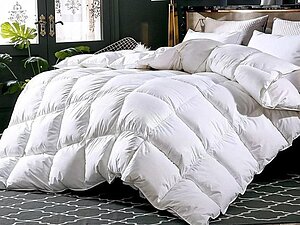 ������ Primavelle Felicia �������