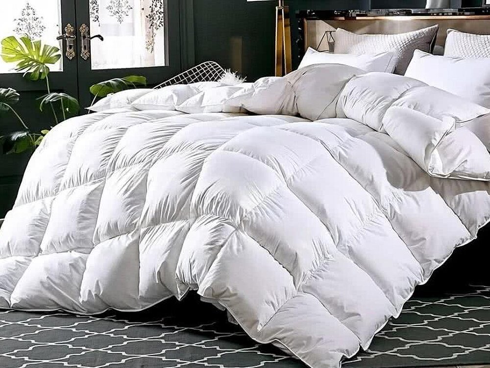 ������ Primavelle Felicia �������