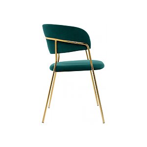 ���� �� �������������� Kamelia ������� / ������