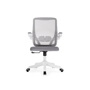 ������������ ������ Salem gray / white
