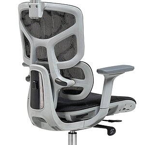   Samur black / gray