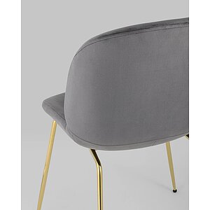  Stool Group Beetle / 