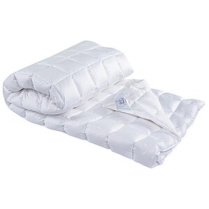 ������ ����� ������� ����