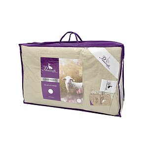 ������ ����